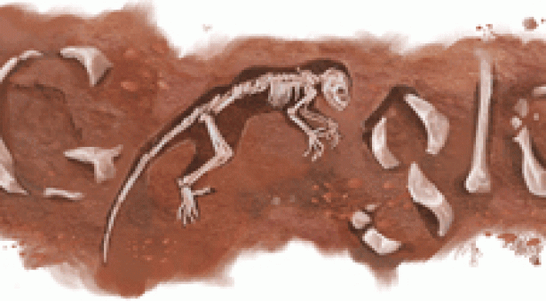 Missing link found : Le chaînon manquant ? Missing link found : Le chaînon manquant ?