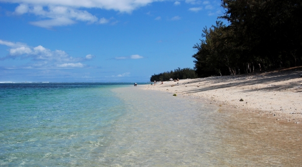 La Réunion, suite et fin ! La Réunion, suite et fin !