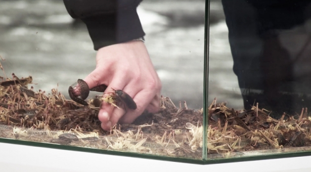 Jusqu’où iriez vous pour un Smartphone ? Jusqu’où iriez vous pour un Smartphone ?