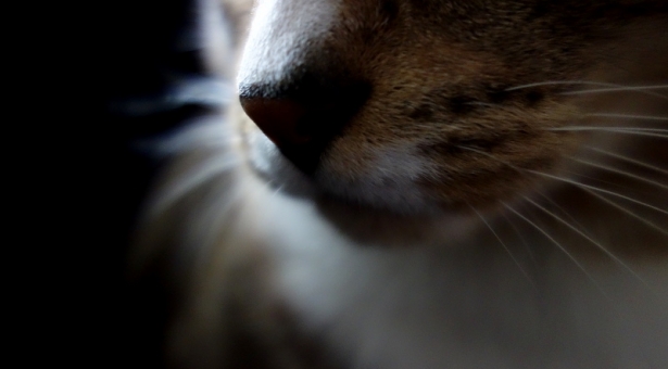 Le changement, c’est maintenant ! Le changement, c’est maintenant !