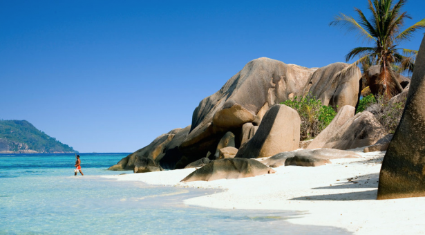 Il fait trop froid, on part en voyage ! Il fait trop froid, on part en voyage !