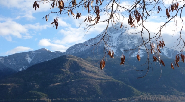 Comme une envie de voir la neige … Comme une envie de voir la neige …