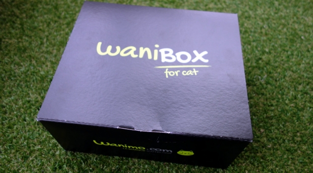 Découverte de la Wanibox for Cat n°2 ! Découverte de la Wanibox for Cat n°2 !