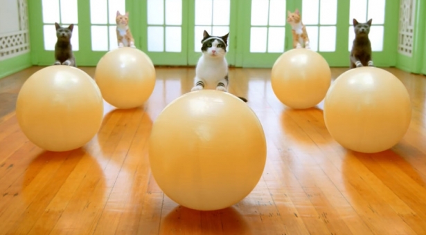 Le saviez-vous ? J’écris aussi là ! #2 Le saviez-vous ? J’écris aussi là ! #2