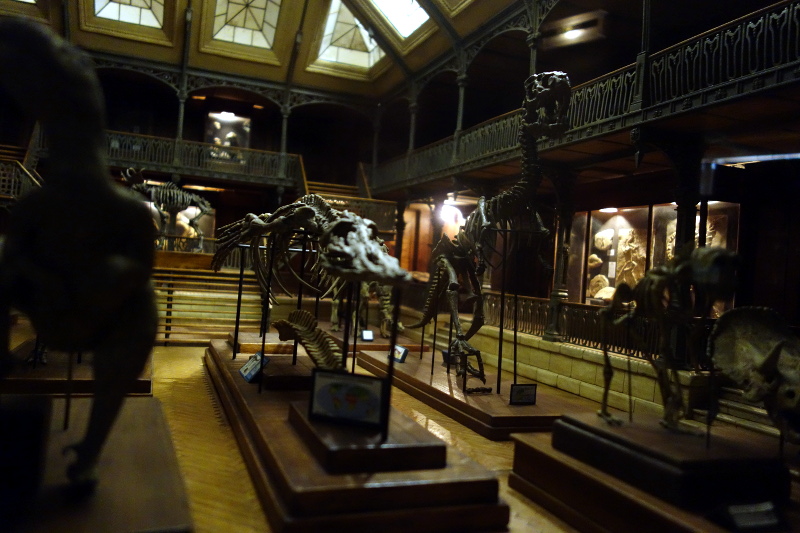 musee_dino_musee_miniature_cinema_lyon