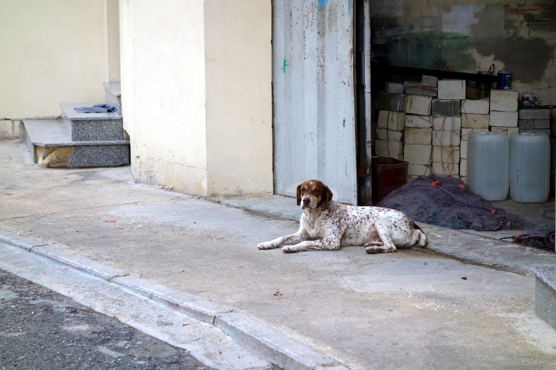 marsaxlokk-15