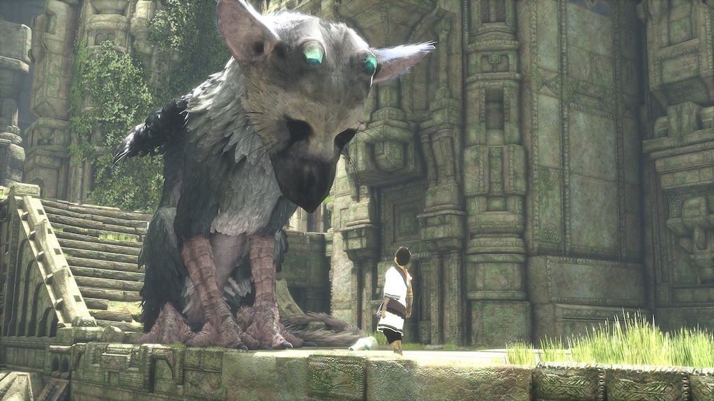 boy_trico_face_to_face